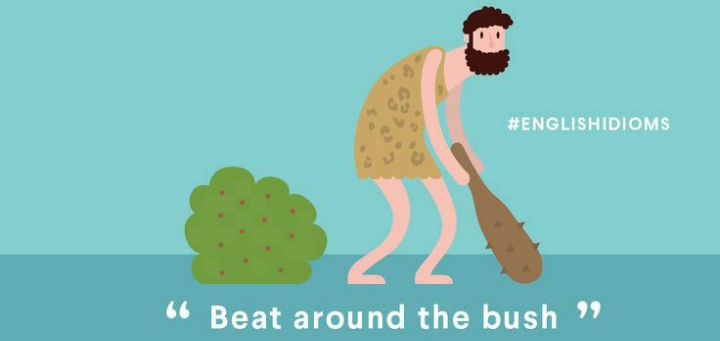 beat around the bush english expression
